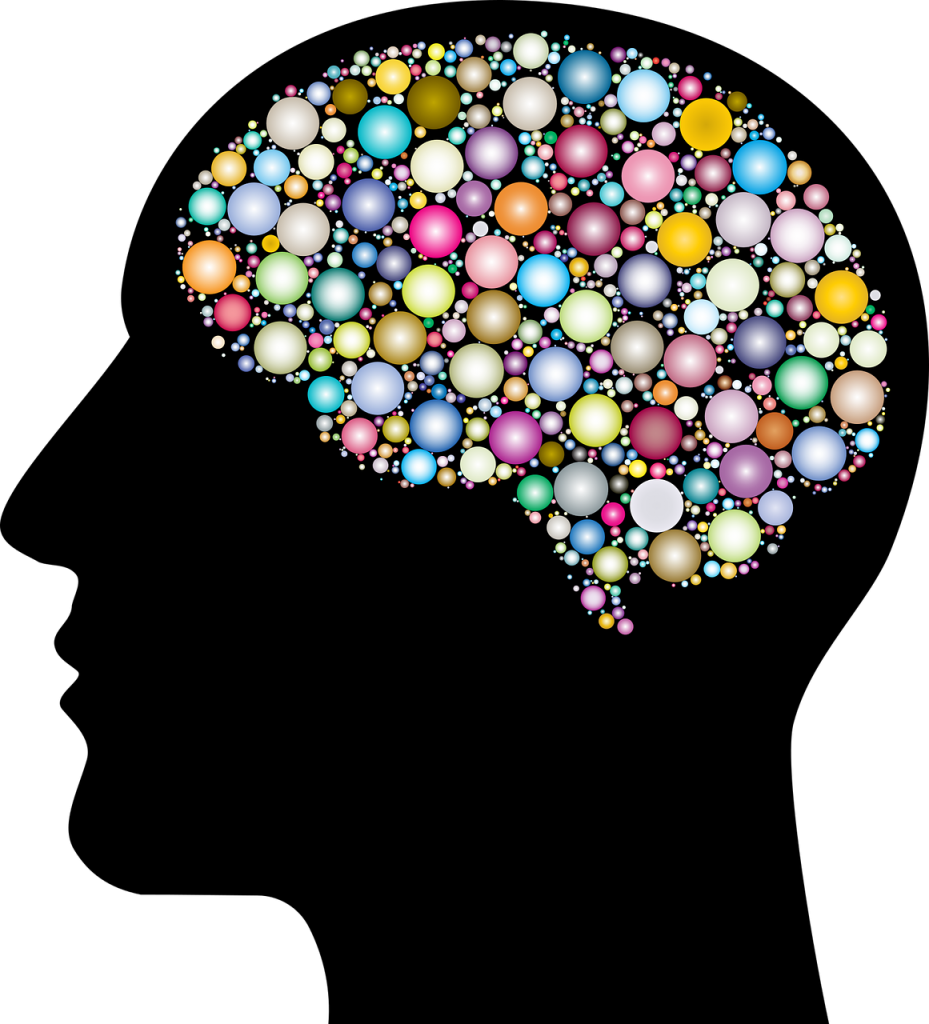Questa immagine ha l'attributo alt vuoto; il nome del file è cranium-3199408_1280-1-929x1024.png